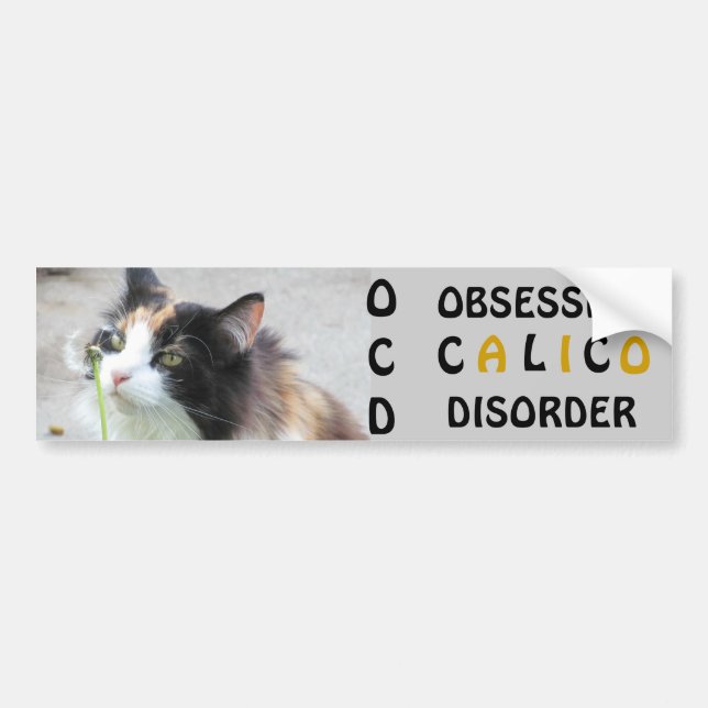 OCD  Obsessive Calico Disorder Bumper Sticker (Front)
