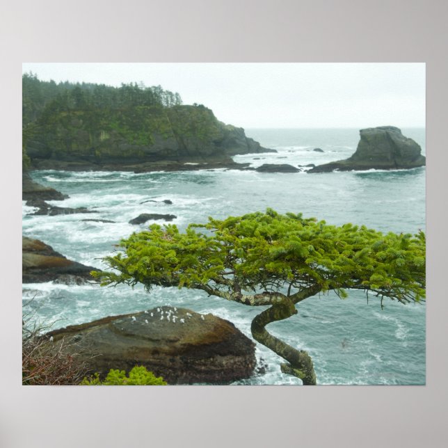 Ocean and rocky shore of remote area poster (Front)