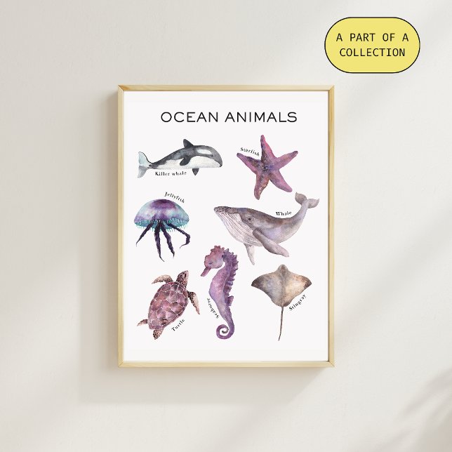 Ocean Animals Educational Poster (Creator Uploaded)