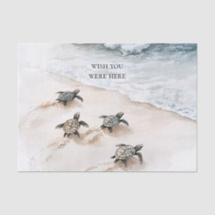 Ocean Beach Coast Sea Turtles Tissue Paper
