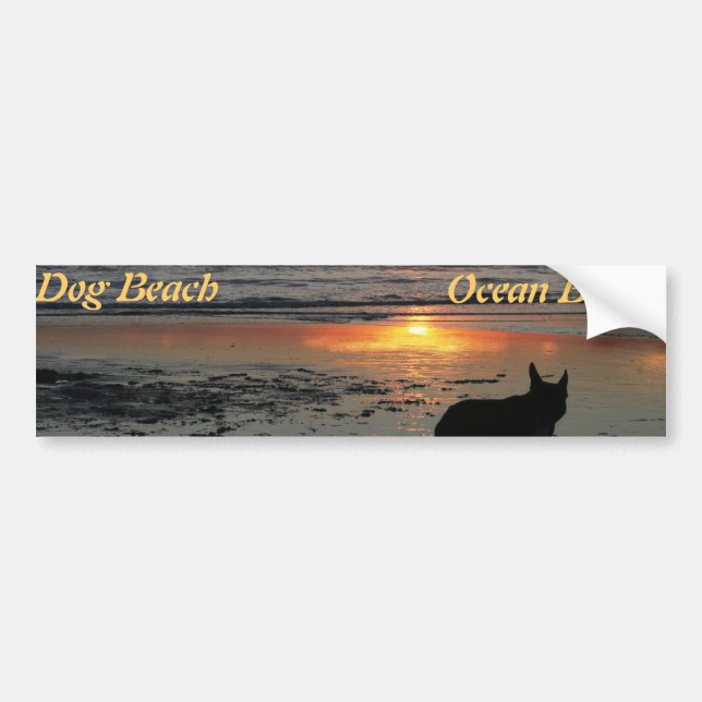 Ocean Beach, dog beach bumper sticker (Front)