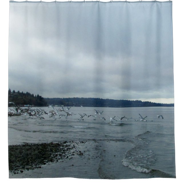 Ocean Beach Scene Shower Curtain (Front)