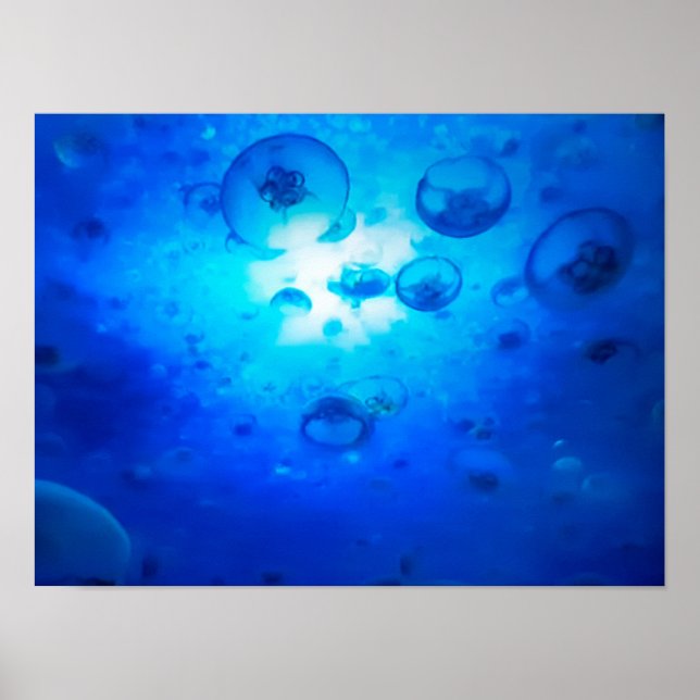 Ocean Blue Jellyfish Photo Poster (Front)