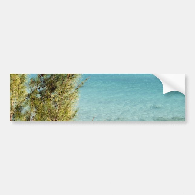 Ocean Bumper Sticker (Front)