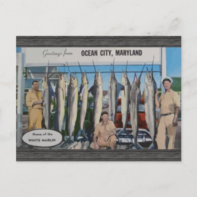 Ocean City, Maryland Home Of The White Marlin, Vin Postcard (Front)