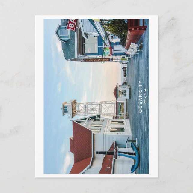 Ocean City Maryland. Postcard (Front)