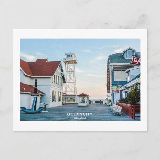 Ocean City Maryland. Postcard (Front)