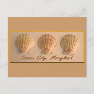 Ocean City, Maryland Postcard