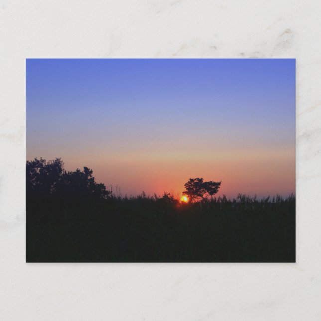 OCEAN CITY MD POSTCARD (Front)