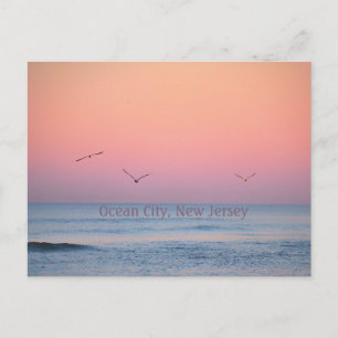 Ocean City, New Jersey Pastel Sunrise Postcard