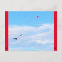 Ocean City, New Jersey Post Card-Fly