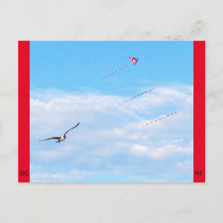 Ocean City, New Jersey Post Card-Fly Postcard