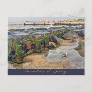 Ocean City, New Jersey Post Card-Morning Swimmer Postcard