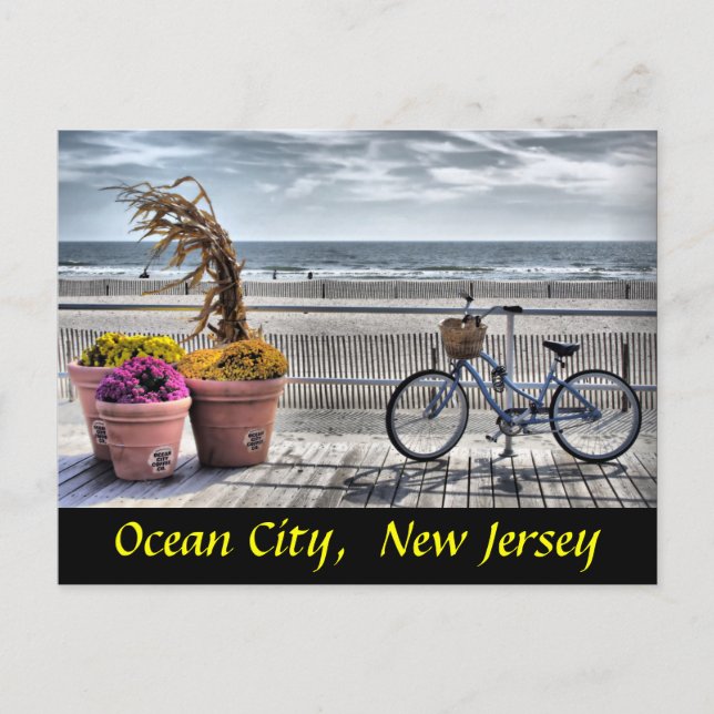 Ocean City, New Jersey Postcard (Front)