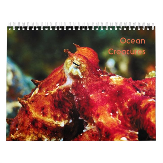 Ocean Creatures Calendar (Cover)