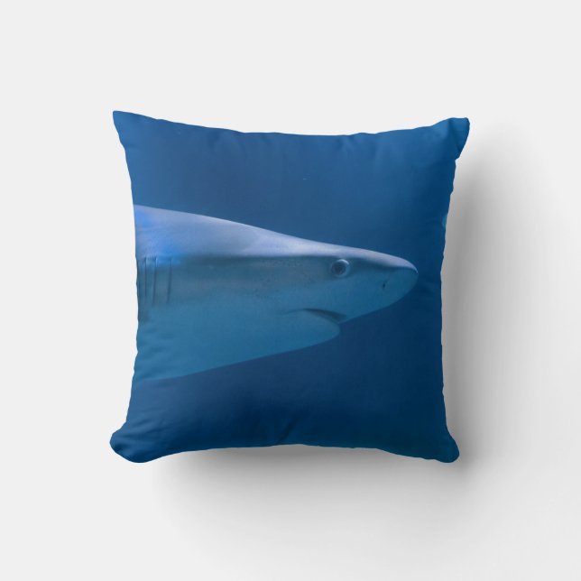 Ocean Creatures Cushion (Front)