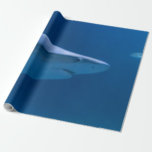 Ocean Creatures Wrapping Paper