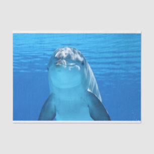 ocean dolphin tissue paper