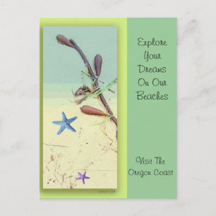 Ocean Dreams Postcard