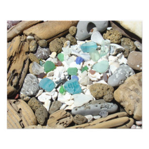 Ocean Driftwood Sea Glass Sea Shells Fossils art Photo Print