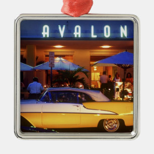 Ocean Drive, South Beach, Miami Beach, Metal Tree Decoration
