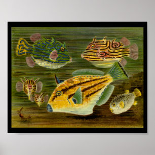 Ocean Fish Yellow Green Blue Art Print