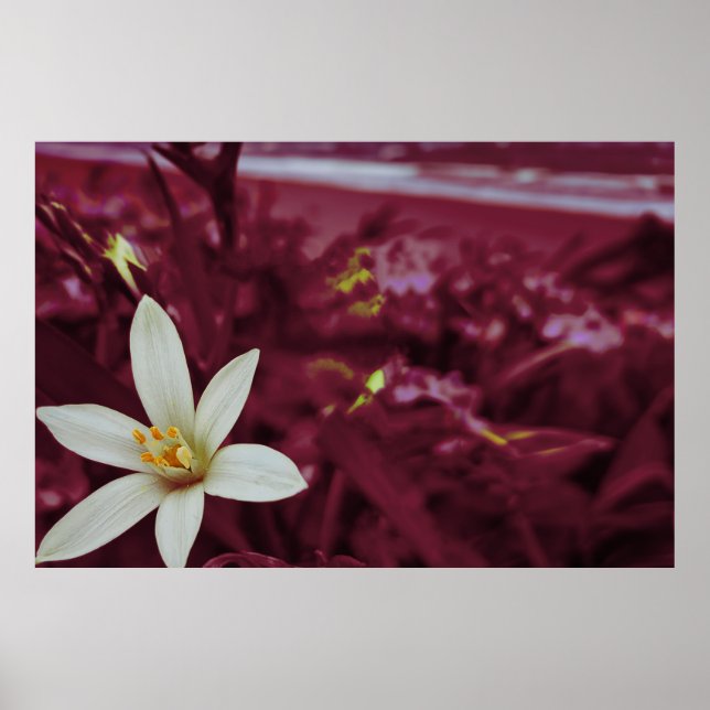 Ocean flower landscape art poster (Front)