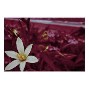 Ocean flower landscape art poster