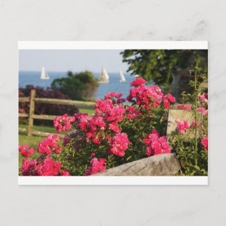 Ocean, Flowers Postcard