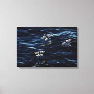 OCEAN FLYERS 16x24 Canvas Print