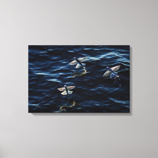 OCEAN FLYERS 16x24 Canvas Print (Front)