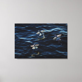 OCEAN FLYERS 24x36 Canvas Print