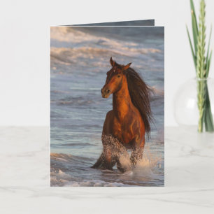 Ocean Horse at Sunset Horse Greeting Card