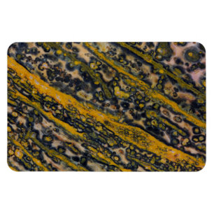 Ocean Jasper Magnet