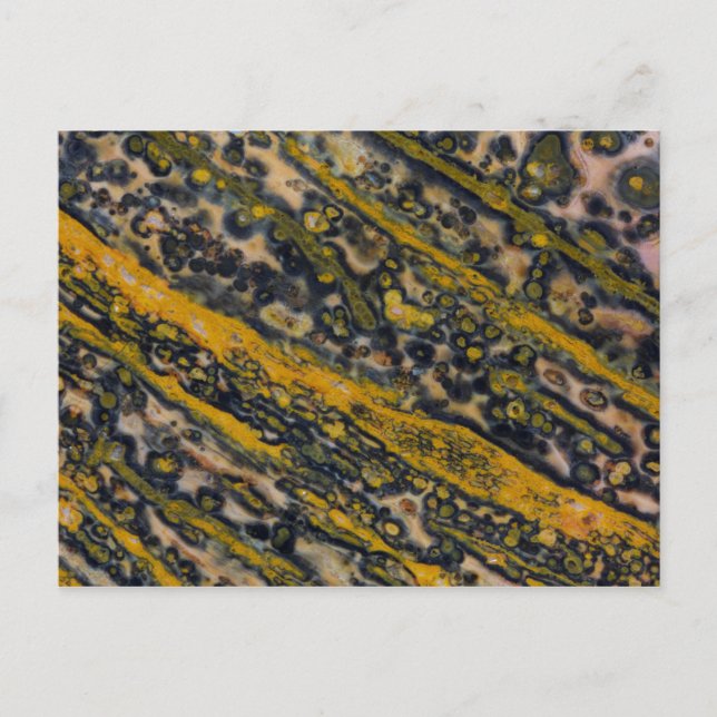 Ocean Jasper Postcard (Front)