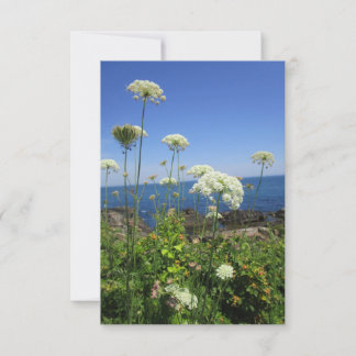 Ocean Lace Note Card