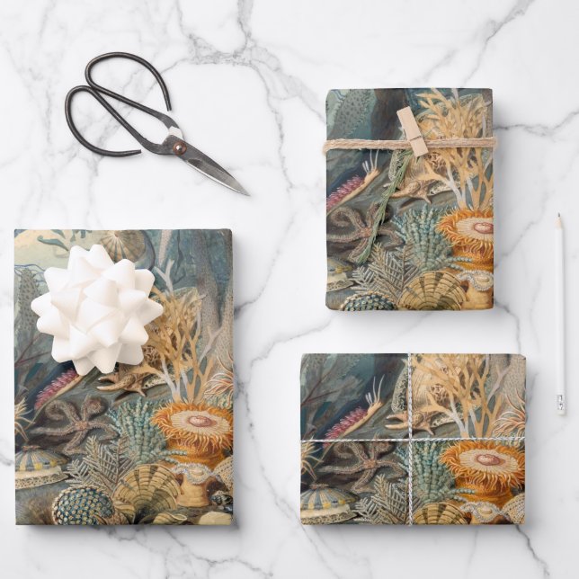 Ocean Life vintage painting with sea creatures Wrapping Paper Sheet (Front)