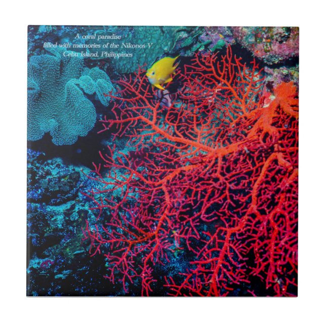 Ocean Memory / Coral reef scenery Tile (Front)