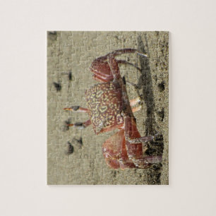 Ocean Sand Crab Jigsaw Puzzle