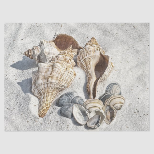 Ocean Seashells Beach Sand Decoupage Tissue Paper (Front)