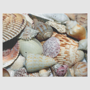 Ocean Seashells Decoupage Tissue Paper