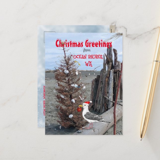 Ocean Shores WA Christmas Seagull Beach Driftwood  Holiday Postcard (Front/Back In Situ)