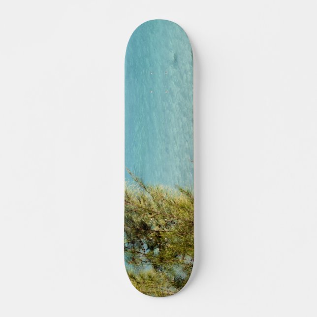 Ocean Skateboard (Front)