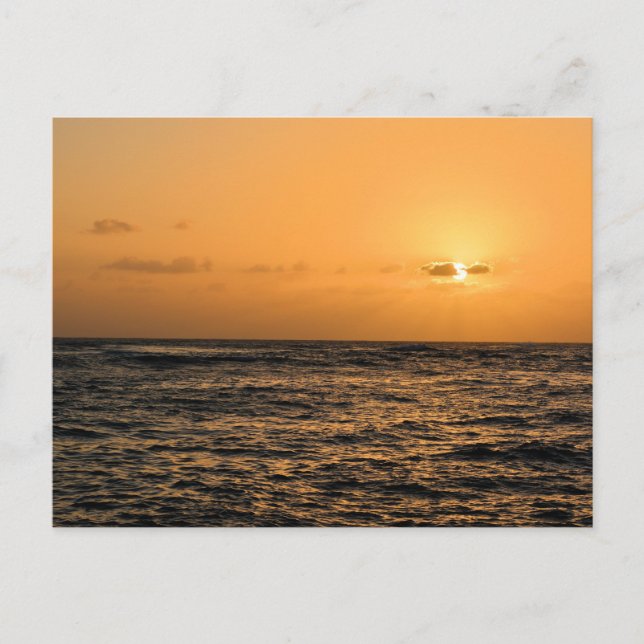 Ocean Sunset in Hawaii Postcard (Front)