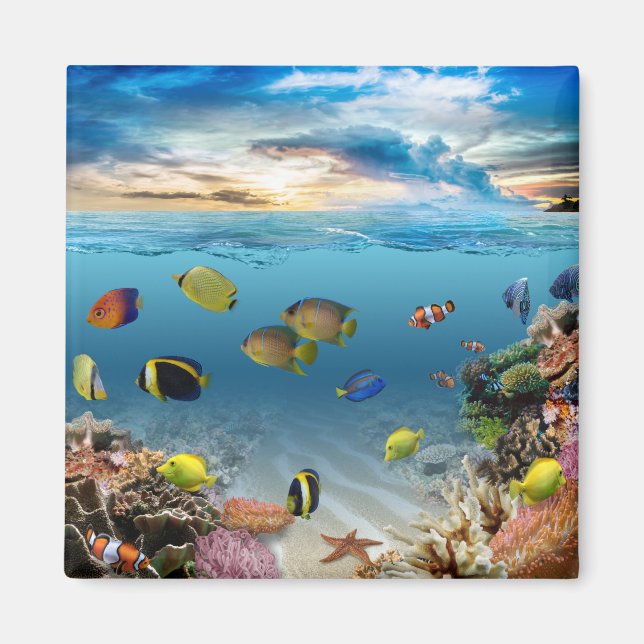 Ocean Underwater Coral Reef Tropical Fish Magnet (Front)