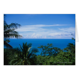 Ocean view