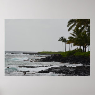 Ocean View at Poipu Poster