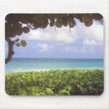 Ocean View, Juno Beach