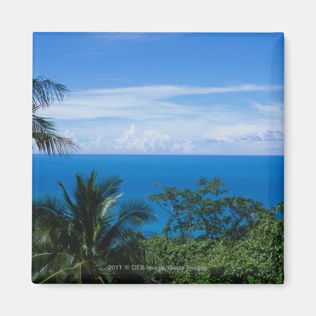 Ocean view magnet (Front)