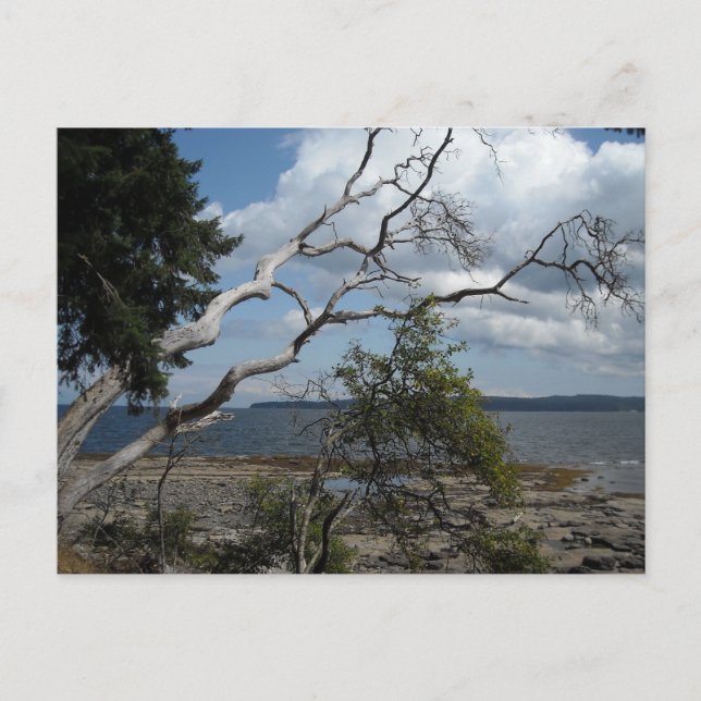 Ocean View Postcard (Front)